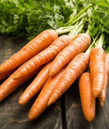 Fenología de la zanahoria Solagri